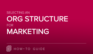 Org Structure Guide