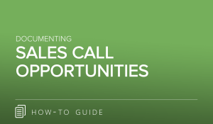 Documenting Sales Call Opportunities
