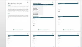 branding plan demand metric brand strategy template