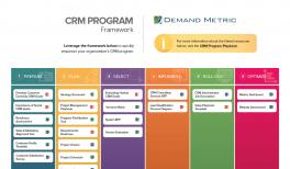 crm maturity program framework demandmetric