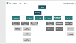Marketing Department Structure Chart