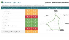 shopper marketing project plan demand metric